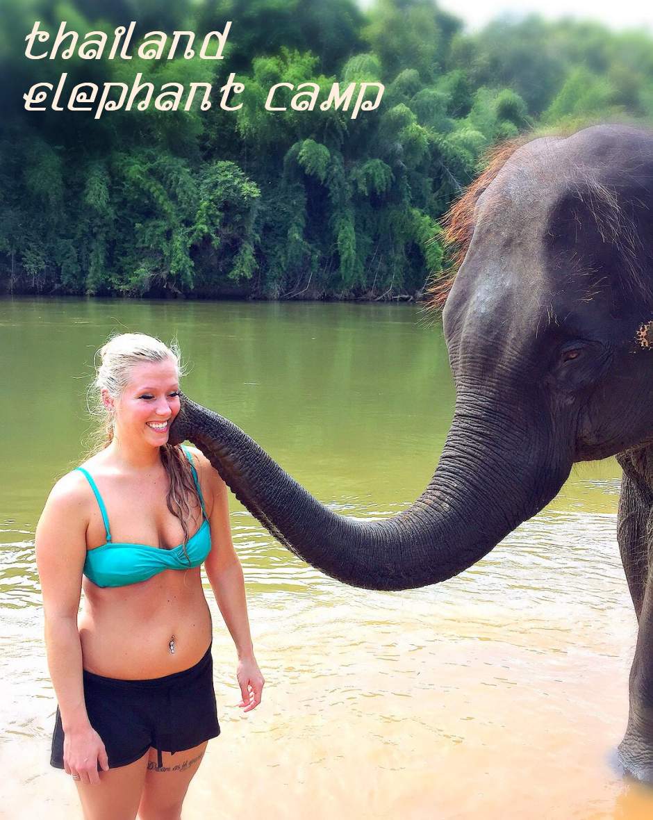 Foto: Elefanten Camp