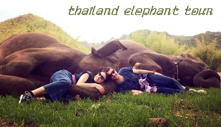 Foto: Relaxen mit Elefanten