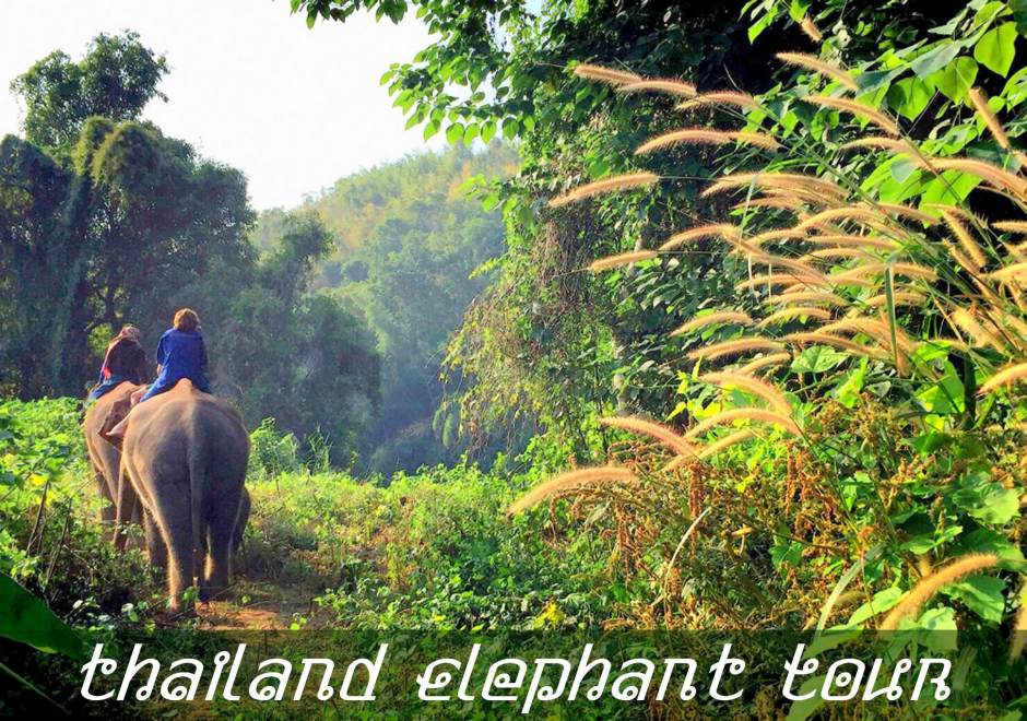 Foto: Tour Elefantenreiten